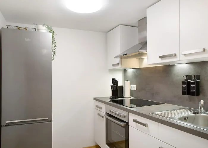 Schoenauer Hof - Lux Apartment Passau
