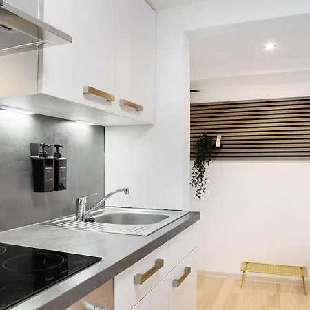 Schoenauer Hof - Lux Διαμέρισμα Πασάου