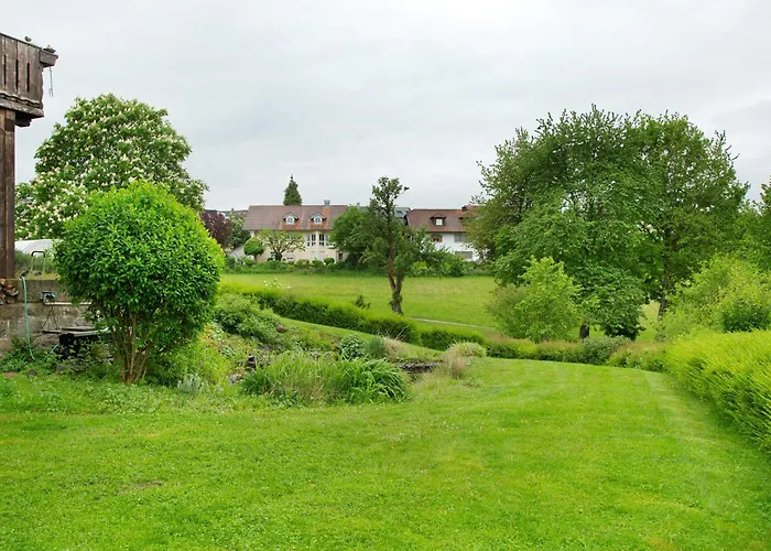 Schoenauer Hof - Lux Apartament Pasawa