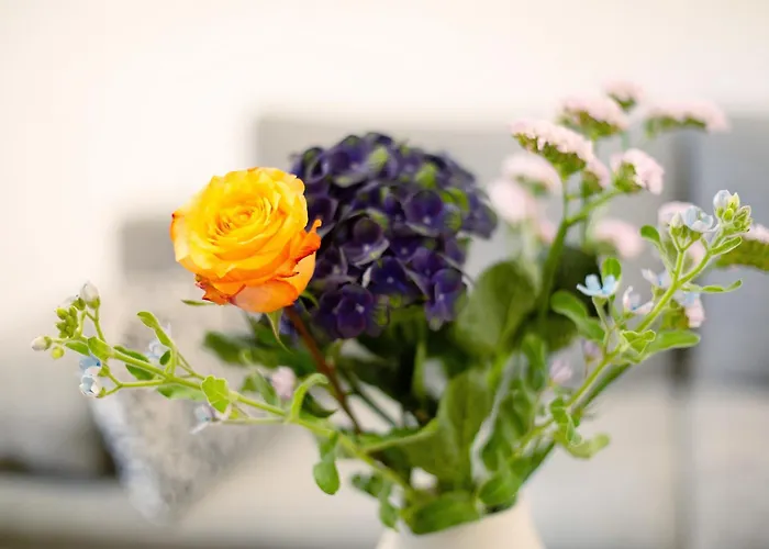 Schoenauer Hof - Lux * パッサウ