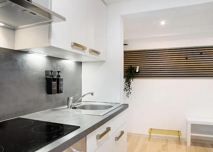 Schoenauer Hof - Lux アパート パッサウ